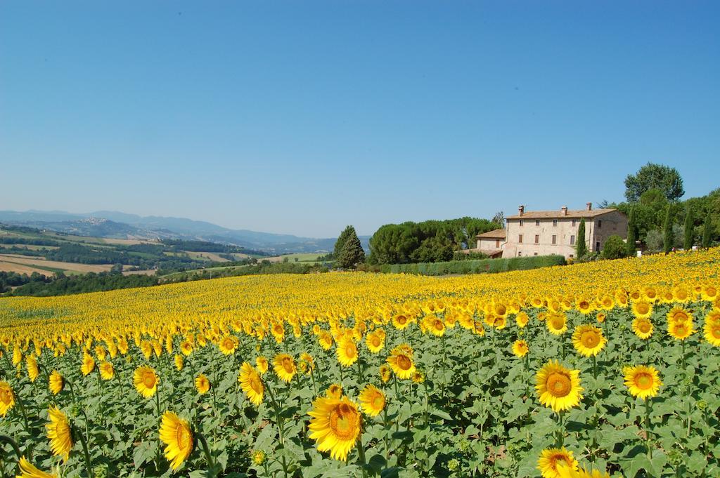 Agriturismo Casale Dei Frontini San Terenziano Εξωτερικό φωτογραφία