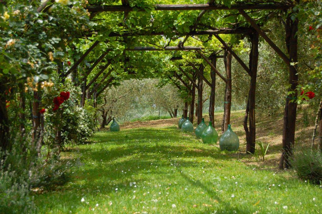Agriturismo Casale Dei Frontini San Terenziano Εξωτερικό φωτογραφία