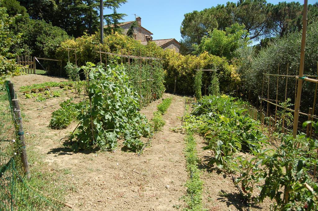 Agriturismo Casale Dei Frontini San Terenziano Εξωτερικό φωτογραφία