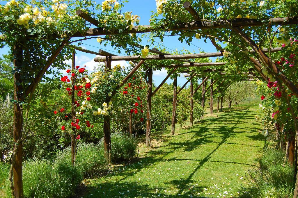 Agriturismo Casale Dei Frontini San Terenziano Εξωτερικό φωτογραφία