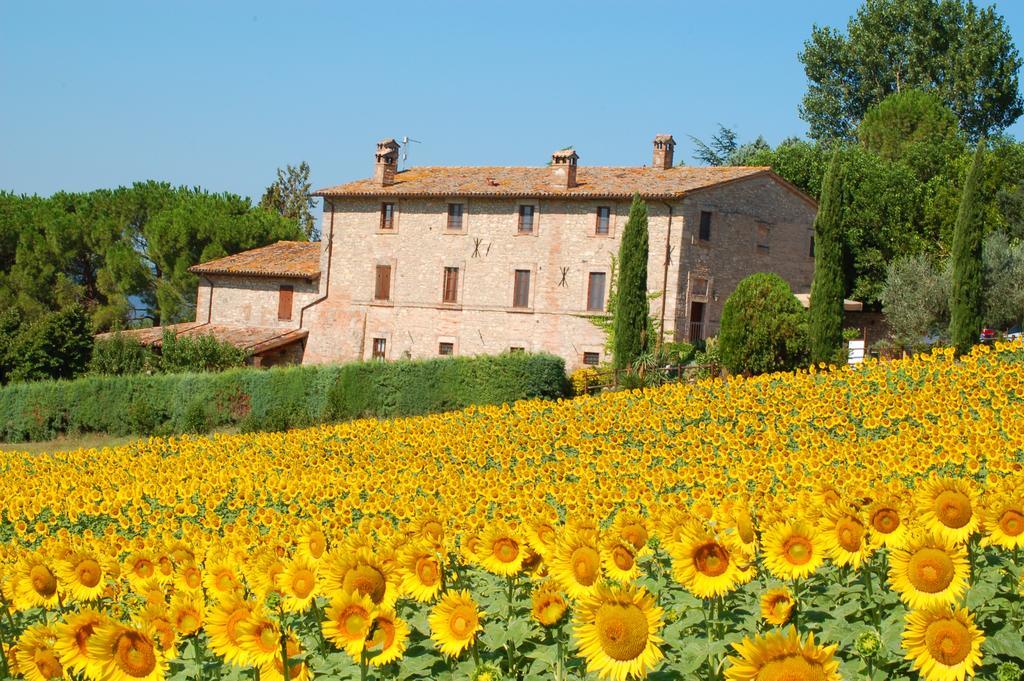 Agriturismo Casale Dei Frontini San Terenziano Εξωτερικό φωτογραφία