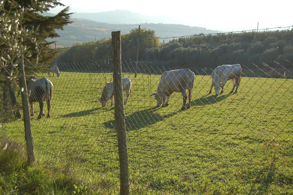 Agriturismo Casale Dei Frontini San Terenziano Εξωτερικό φωτογραφία