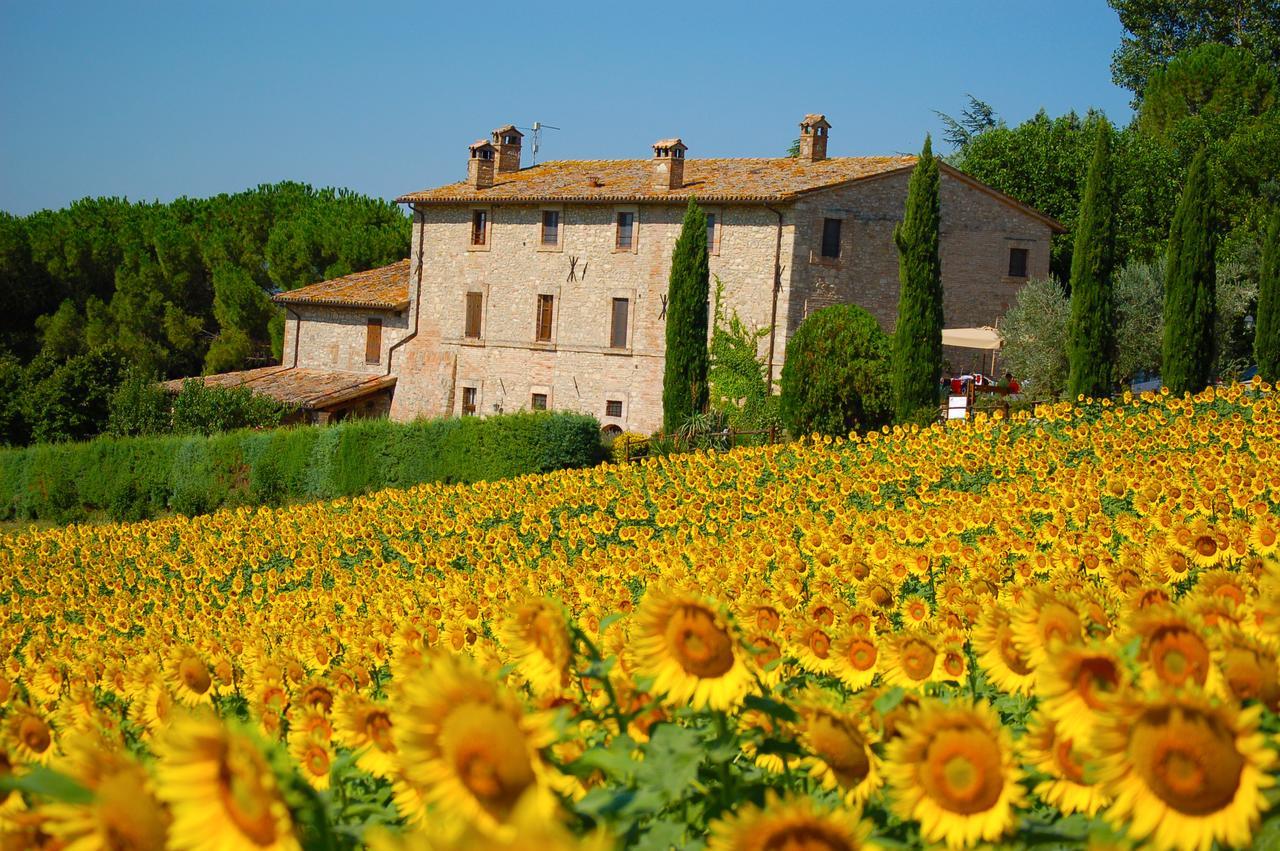 Agriturismo Casale Dei Frontini San Terenziano Εξωτερικό φωτογραφία